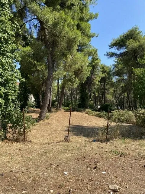Prime Land for sale in Drosia Athens. ID A3-2826