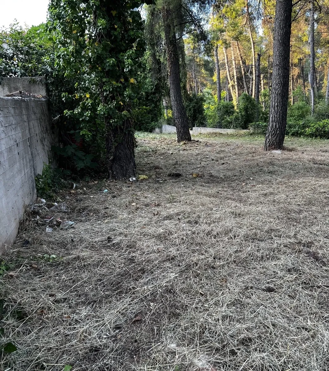 Prime Land for sale in Drosia Athens. ID A3-2826