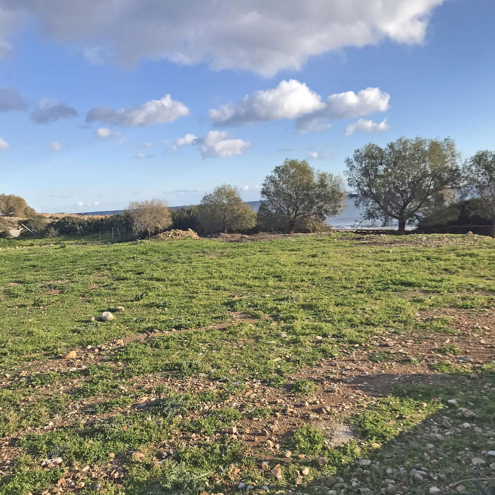 Seafront Plot for Sale in Palaiochora. ID 03-2862