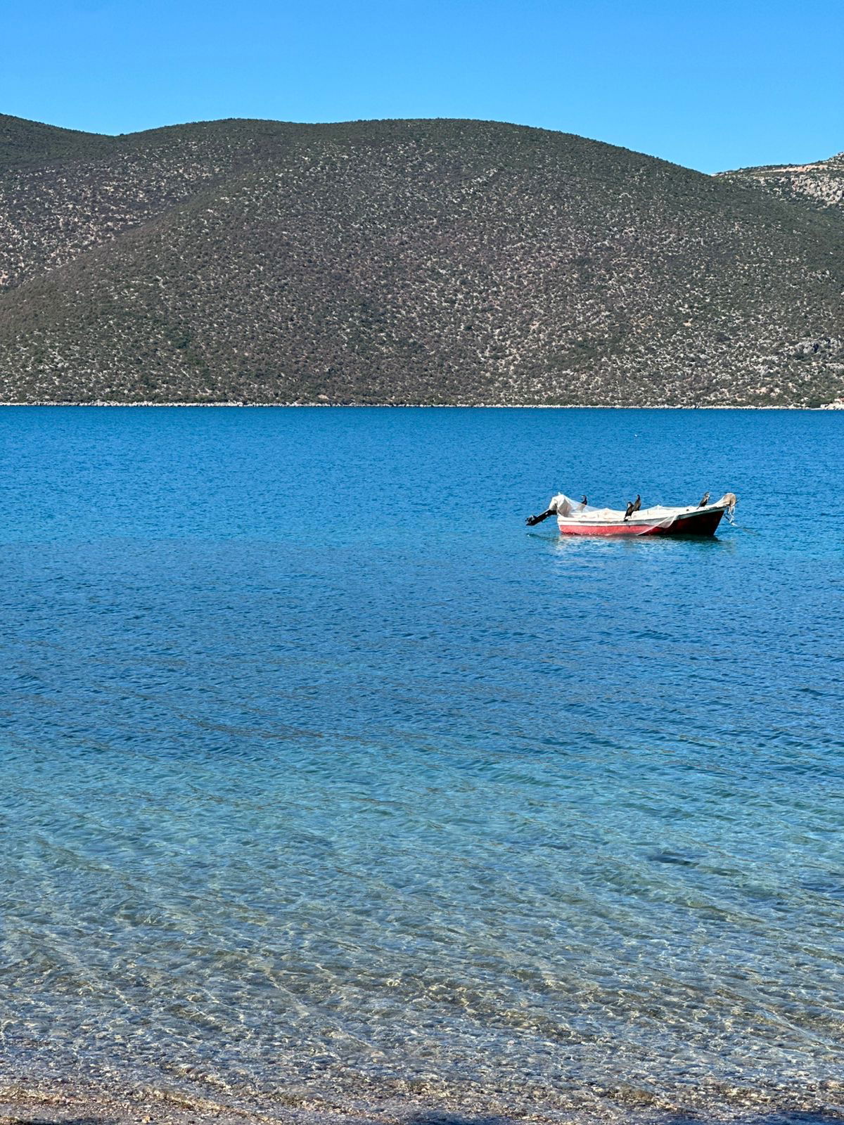 Seaview Luxury Villa for sale in Skorponeri, Chalkida. ID Euv-1500